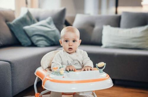 купить Ходунок FreeOn 38381 Premergatori FANCY в Кишинёве 