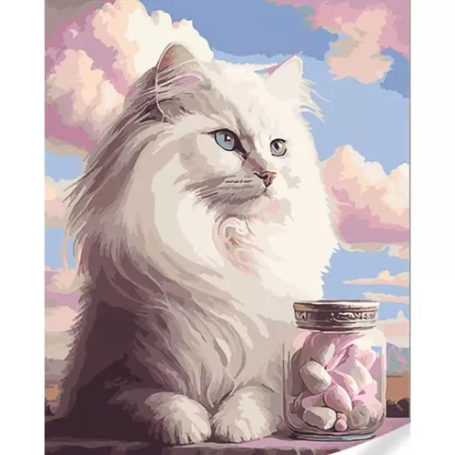 cumpără Tablou pe numere Strateg R 9 /14 (GS1598)(73875) Pisica pufoasa, 40x50 cm în Chișinău 