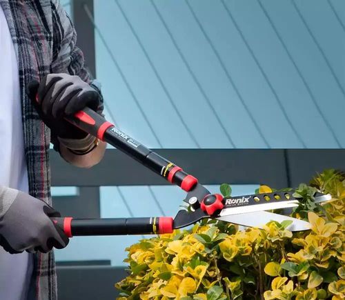 cumpără Foarfecă de gradină Ronix RH-3111 телекоп. 770mm în Chișinău 