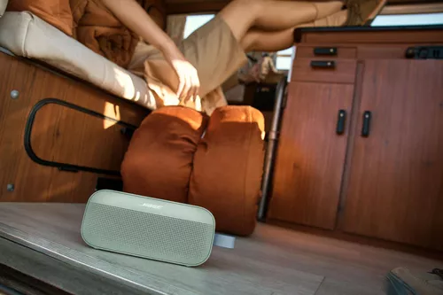 купить Колонка портативная Bluetooth Bose Soundlink Flex 2nd Gen, Alpine Sage в Кишинёве 