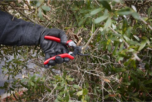 cumpără Foarfecă de gradină Milwaukee 4932498622 Foarfeca taiere ramuri 20mm în Chișinău 