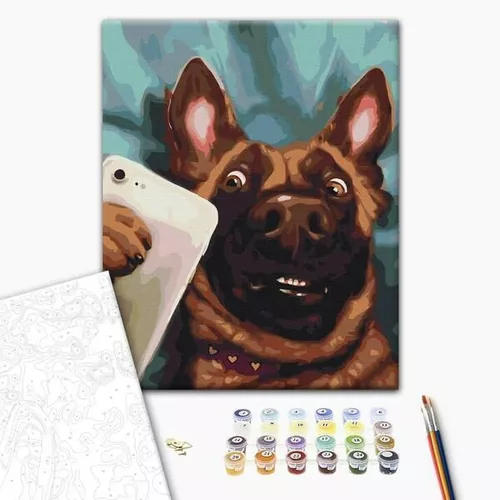 cumpără Tablou pe numere BrushMe BS53509FC 40х50cm (fără cutie) Selfie Charlie în Chișinău 