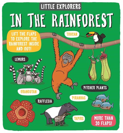 купить Little Explorers: In the Rainforest в Кишинёве 