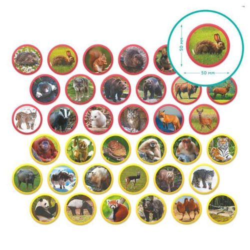 купить Настольная игра Dodo 200285 Joc magnetic Animalele Eurasiei, 36 elem в Кишинёве 