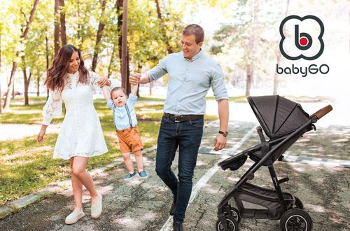 купить Детская коляска BabyGo BGO-6701 3 in 1 Simplex Grey Melange в Кишинёве 