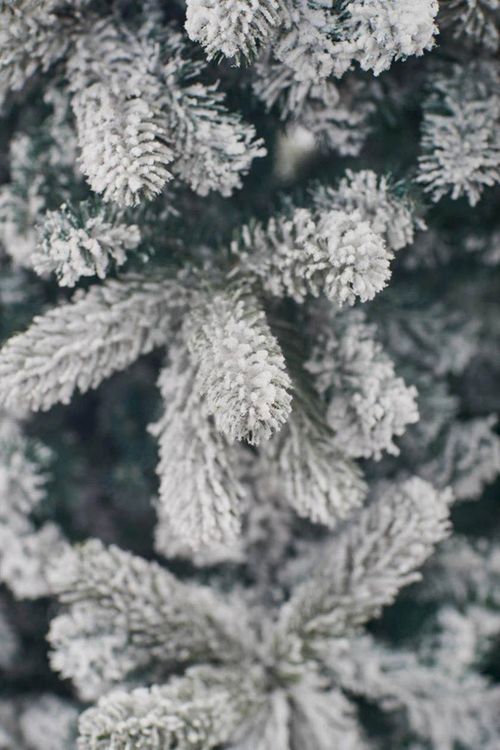 купить Декоративная ёлка Divi Trees Montblanc 3,5m в Кишинёве 