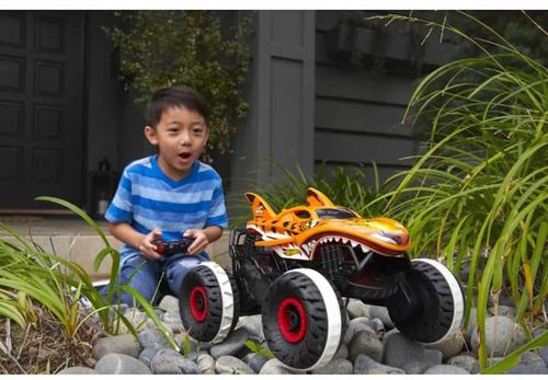 купить Радиоуправляемая игрушка Hot Wheels HGV87 Hot Wheels в Кишинёве 