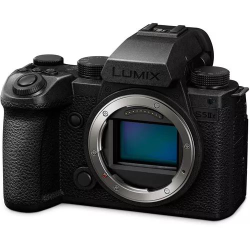 cumpără Aparat foto mirrorless Panasonic DC-S5M2XEE în Chișinău 