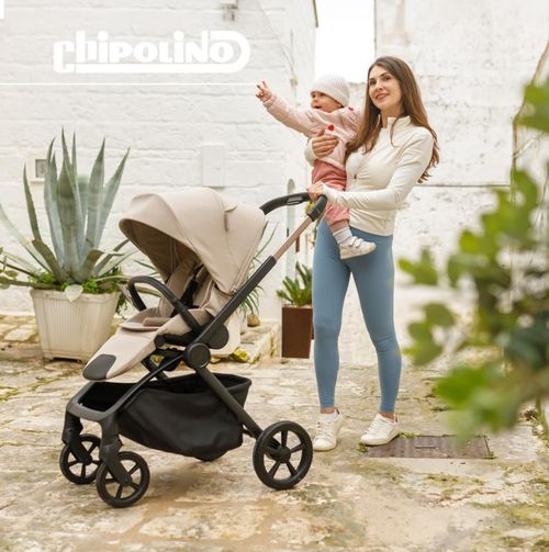 купить Детская коляска Chipolino KKWN02602LA Winner latte в Кишинёве 