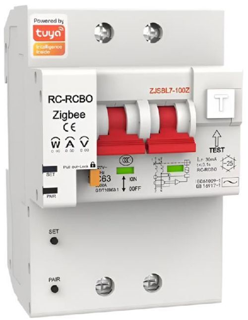 купить Выключатель электрический Moes ZCB-SC-2P100M-EN в Кишинёве 