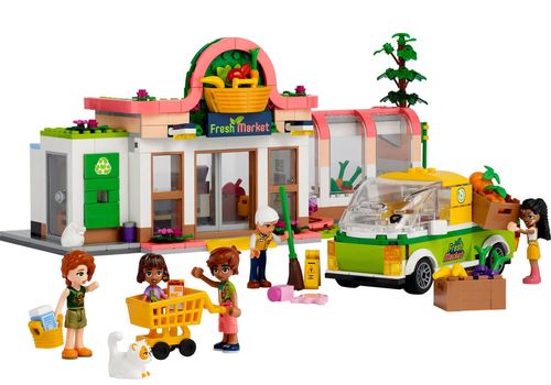 купить Конструктор Lego 41729 Organic Grocery Store в Кишинёве 