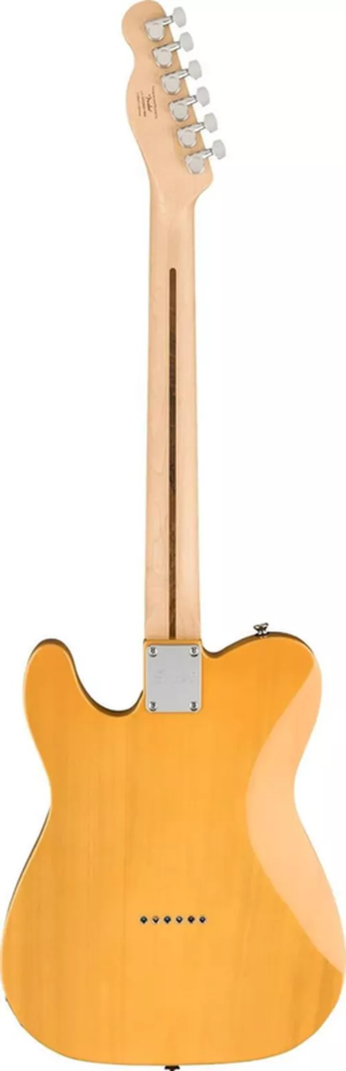 купить Гитара Fender Squier Tele MN ButterscotchB в Кишинёве 