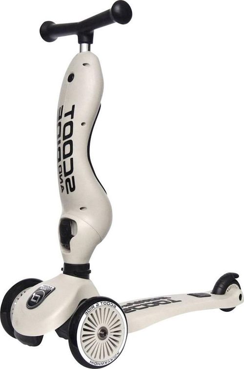 купить Самокат Scoot&Ride 96268 Highway 2in1 Kick 1 Ash в Кишинёве 