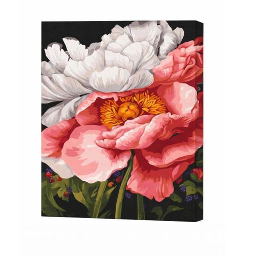 купить Картина по номерам BrushMe BS54475 40x50cm Eco, Tacere in flori в Кишинёве 