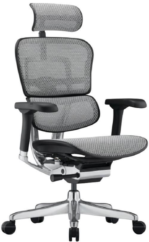 купить Офисное кресло ART Ergohuman Elite 2 BL Natural T-168-B2 EHE2-AB-HAM-5D-L в Кишинёве 