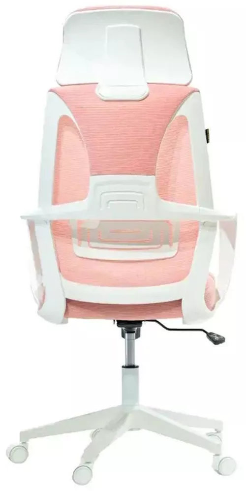 купить Офисное кресло YING trading ROSE 067 в Кишинёве 