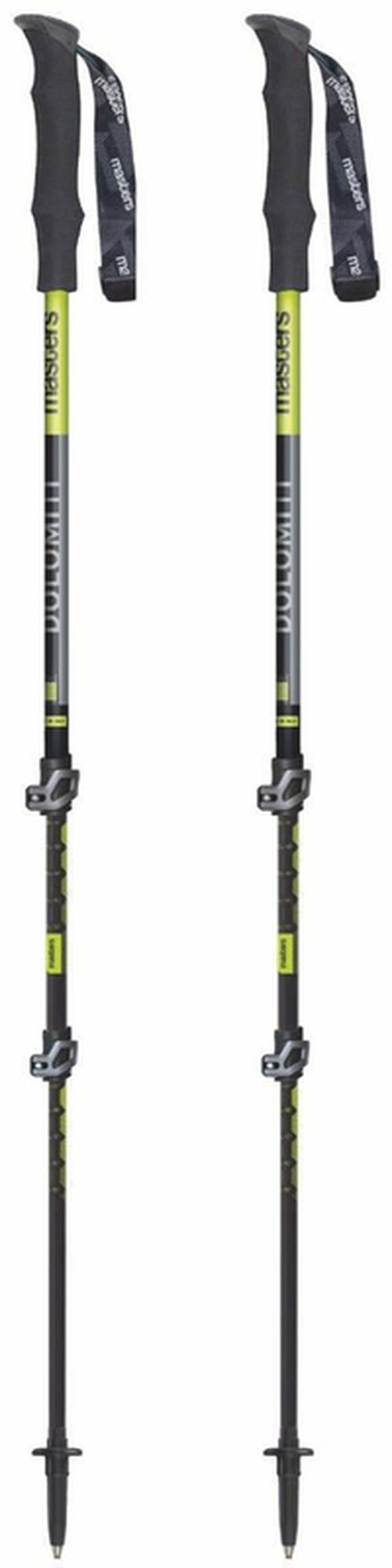 cumpără Bețe pentru trekking Masters DOLOMITI (01S4219) în Chișinău 