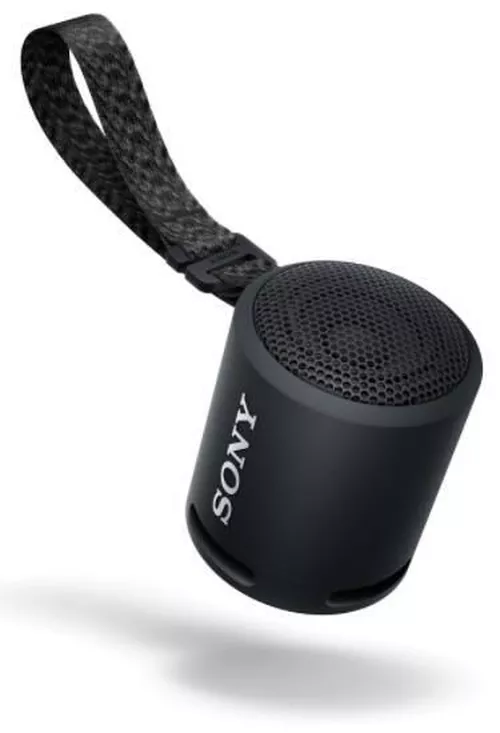 купить Колонка портативная Bluetooth Sony SRSXB13B в Кишинёве 