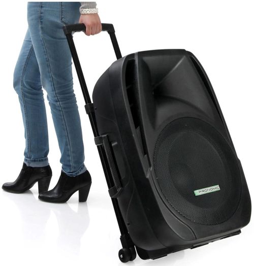 купить Аудио гига-система Pronomic PH 15AW в Кишинёве 