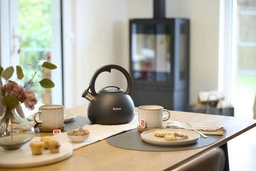 купить Чайник Tefal N4180410 Duetto+ 2,5l в Кишинёве 