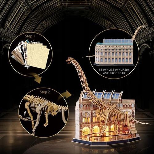 купить Конструктор Cubic Fun L544h 3D Puzzle Muzeul de Științe Naturale – Brachiosaurus cu iluminare LED, 216 elem. в Кишинёве 