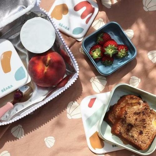 cumpără Container alimentare Beaba B913589 Set 3 caserole Playful în Chișinău 
