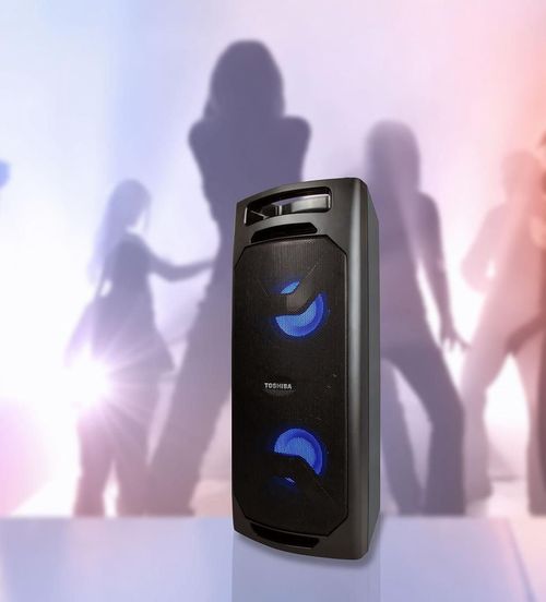 cumpără Giga sistem audio Toshiba TY-ASC51 în Chișinău 