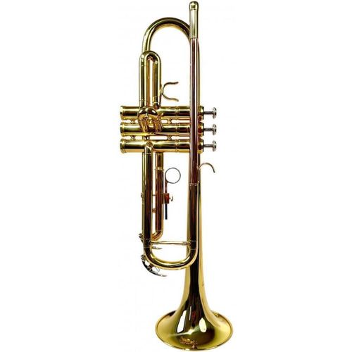 cumpără Instrument muzical de suflat Clifton Trompeta, 400335 în Chișinău 