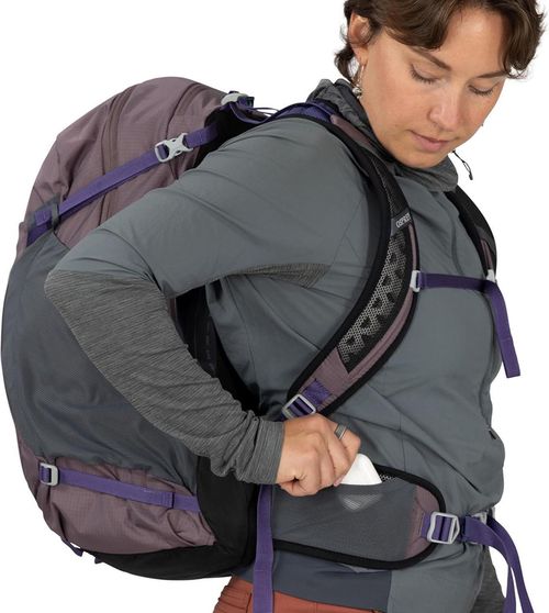 купить Туристический рюкзак Osprey Hikelite 28 Graphite Purple (810165747685) в Кишинёве 