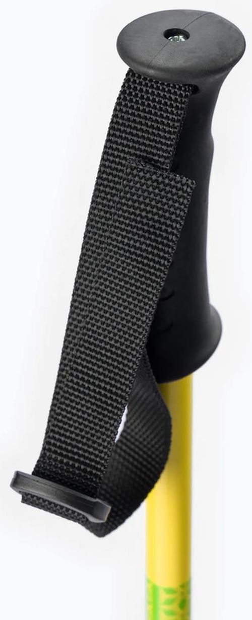 купить Треккинговые палки Masters SCOUT JUNIOR (01S5219) в Кишинёве 