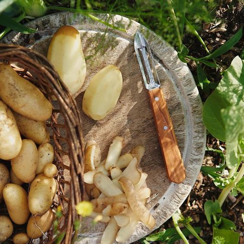 купить Набор ножей Opinel 002163 Box The Essentials Olivewood в Кишинёве 