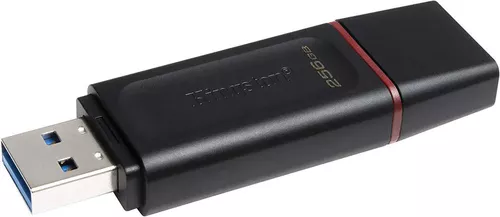 купить Флеш память USB Kingston DTX/256GB в Кишинёве 