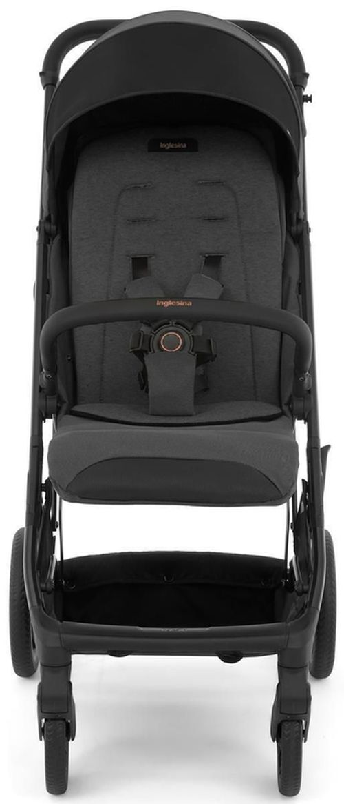 купить Детская коляска Inglesina MAIOR Magnet Grey в Кишинёве 