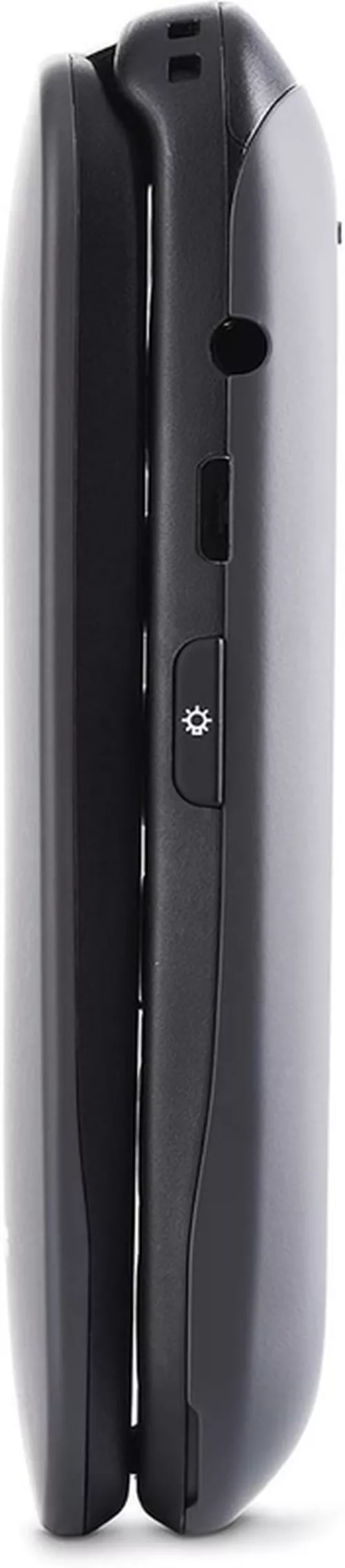 купить Телефон мобильный Panasonic KX-TU446EXG в Кишинёве 