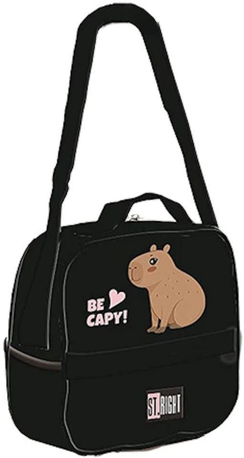 cumpără Geantă frigorifică St.RIGHT 57764 Lunch Box 5.5L, Be Capy, 41x30x44cm în Chișinău 