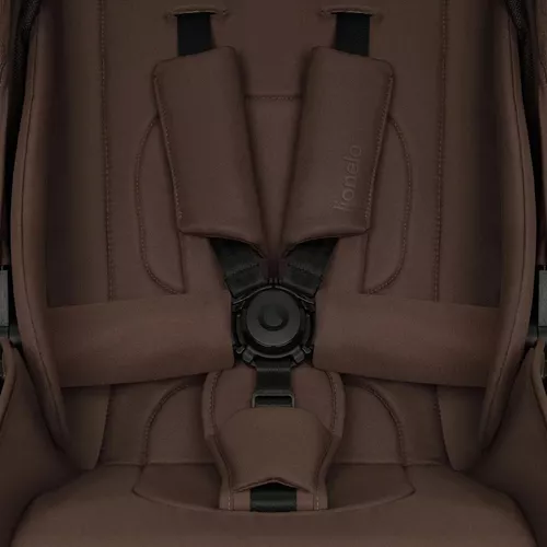 купить Детская коляска Lionelo Carucior 2in1 Mika Plus Mocha Mousse в Кишинёве 