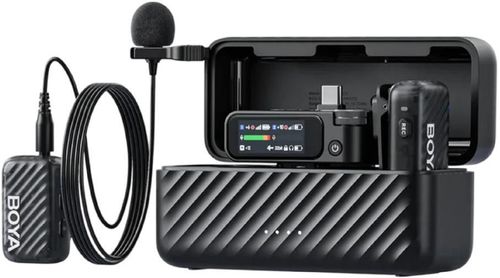купить Микрофон Boya BOYAMIC 2-01 в Кишинёве 