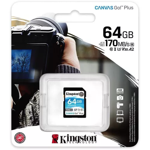 cumpără Card de memorie flash Kingston SDG3/64GB în Chișinău 