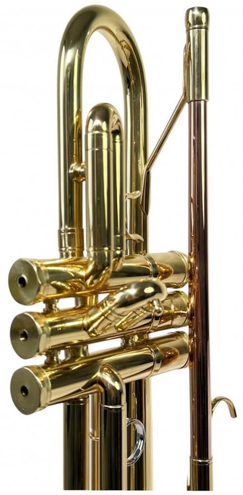 cumpără Instrument muzical de suflat Clifton Trompeta, 400335 în Chișinău 