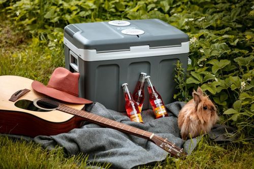 cumpără Frigider portabil Camry CR 8061 în Chișinău 