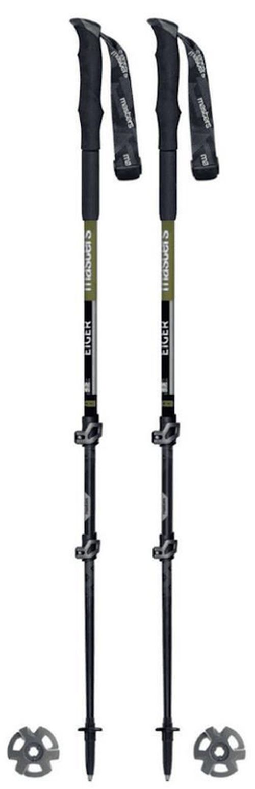 cumpără Bețe pentru trekking Masters EIGER (01S2319) în Chișinău 