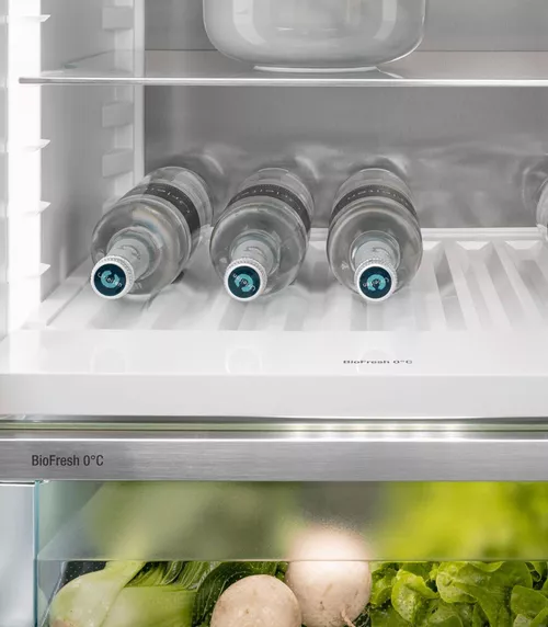 купить Холодильник однодверный Liebherr RBbsb 525i в Кишинёве 