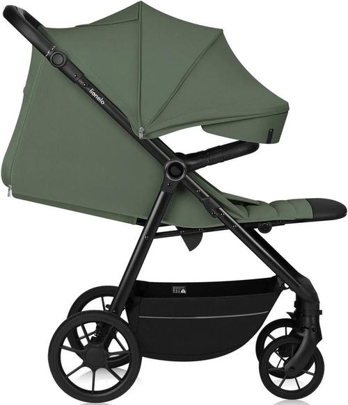 купить Детская коляска Lionelo Iva Green Forest в Кишинёве 