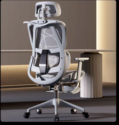 купить Офисное кресло Nex Home Extra Gray (ergonomic) в Кишинёве 
