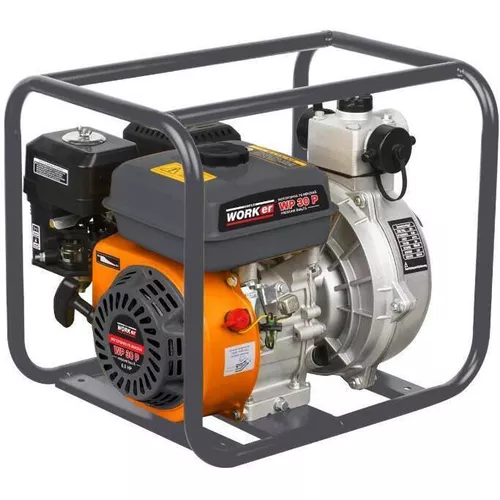 cumpără Pompă Technoworker WP 30P (Presiune) în Chișinău 