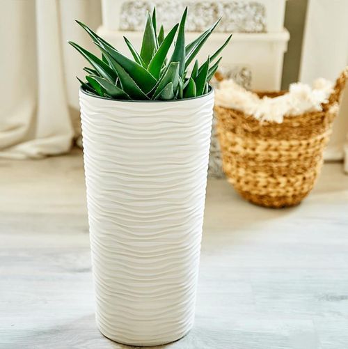 cumpără Ghiveci pentru flori Aleana 115098 Fiujin d35.5x66 cm, white rose în Chișinău 