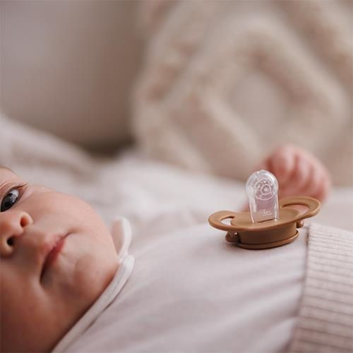 cumpără Suzetă BabyOno 1669/01 Suzete simetrice din silicon 0-6 luni (2 buc) în Chișinău 