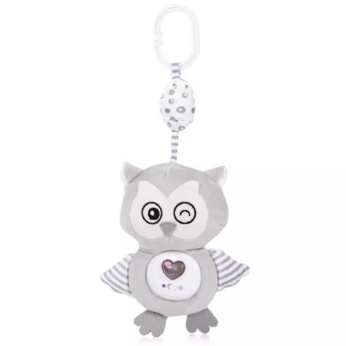 cumpără Jucărie cu pandantiv Chipolino Owl PIKL02502OWL плюш муз în Chișinău 