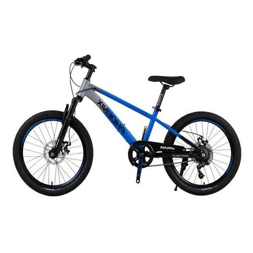 купить Велосипед New World CHANG XING Bicicleta cu 2 roti, 18", albastru-gri-negru, 2364D в Кишинёве 