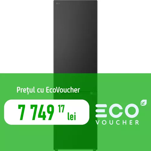 cumpără Frigider cu congelator jos LG GBV7280CEV în Chișinău 